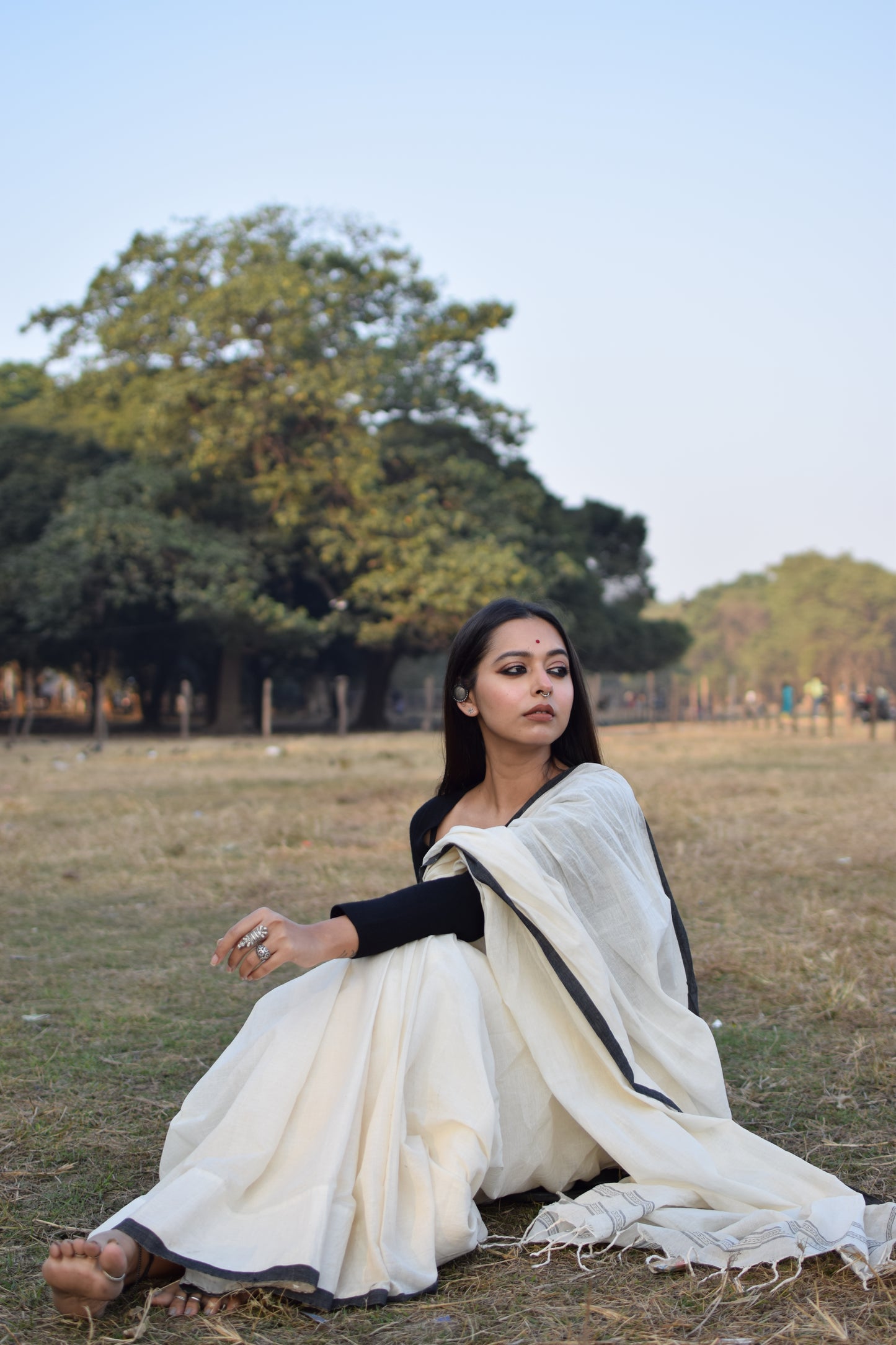 Handwoven Cotton Begampuri Saree